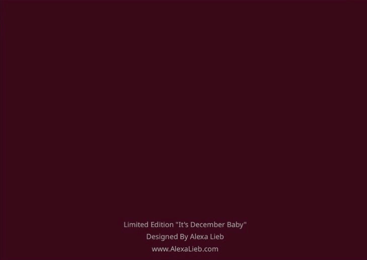 Limited Edition “It’s December Baby” Holiday Card